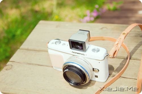 早安心语:做个生活的舞者 (2)