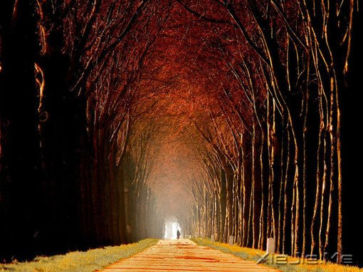 正能量文章:我从来不信这世间会无路可走