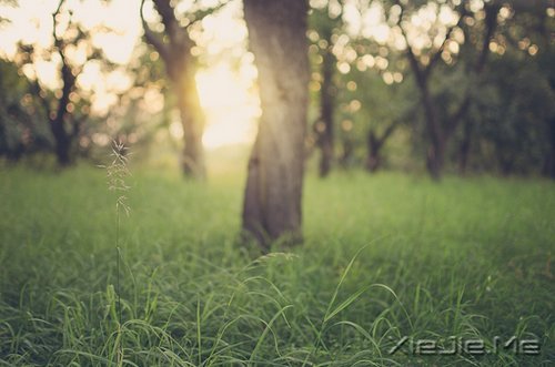 ���ܾ����������Ƿ��ģ���Զ��Ҫ