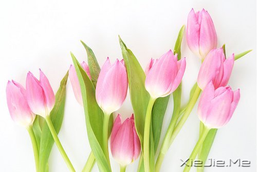 最漫长的爱,其实是与自己相爱