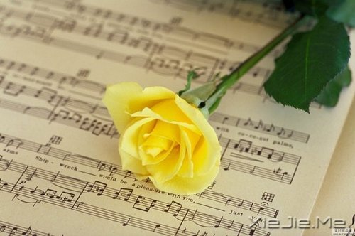 文字:买房生子这种事留给中年人吧