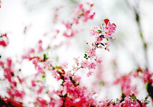 经典语录:50条超美的句子 (5)