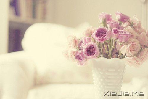 决定人生成败的12种素质