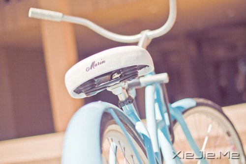 文字:爱他们的时候我们像条狗