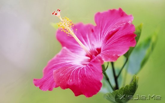 ���֣�Ҫ������ʮ���� (9)