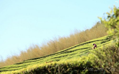 �������������С· (3)