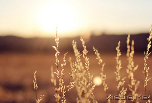 ���֣������Ŭ������