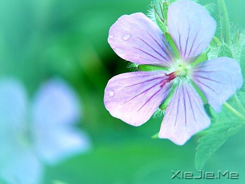 把时间花在进步上,而不是抱怨上