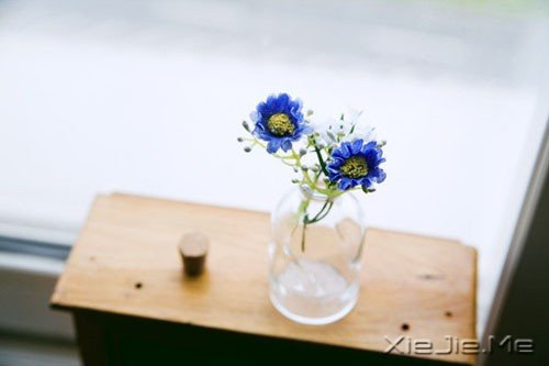 һ�У����Լ�����